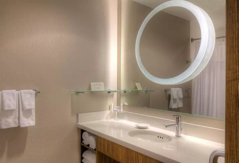 ダブルベッドのスタンダードスタジオ, Springhill Suites Anchorage University Lake