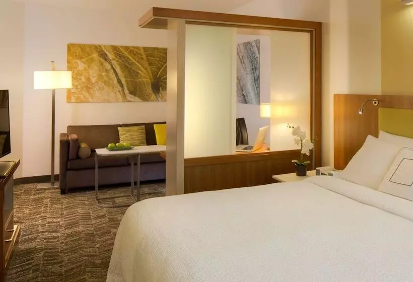 ダブルベッドのスタンダードスタジオ, Springhill Suites Anchorage University Lake
