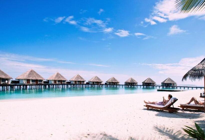 单卧高级别墅, Adaaran Prestige Water Villas   With Dine Around Premium All Inclusive   24 Hours