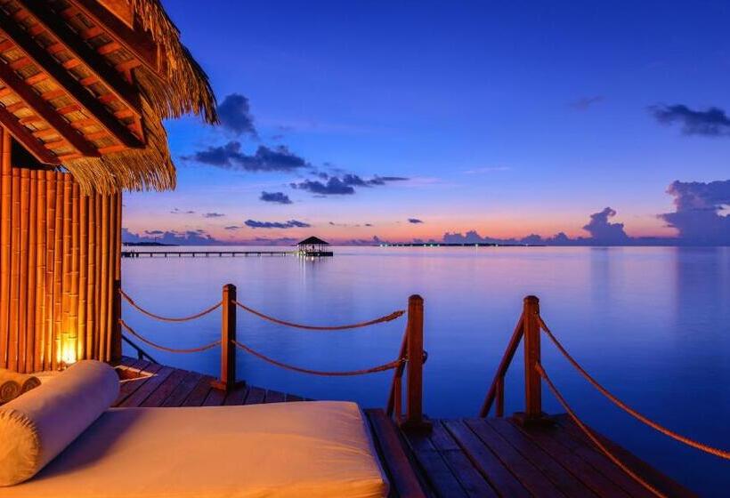 单卧高级别墅, Adaaran Prestige Water Villas   With Dine Around Premium All Inclusive   24 Hours
