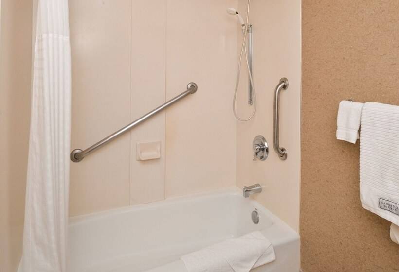 Люкс Адаптированный для Инвалидов, Comfort Inn & Suites Susanville