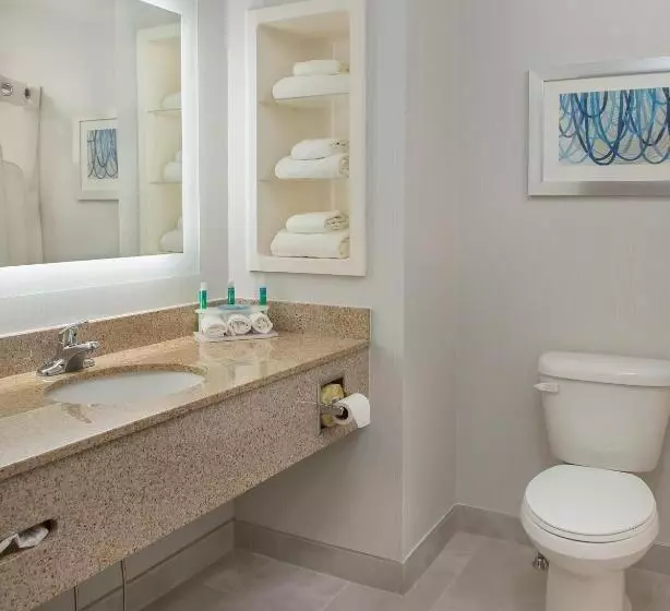 Standard-huone, Holiday Inn Express Hotel & Suites Clifton Park, An Ihg