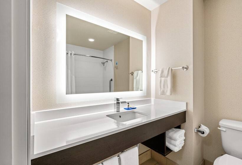 جناح لذوى الاحتياجات الخاصة, Holiday Inn Express & Suites Klamath Falls Central, An Ihg