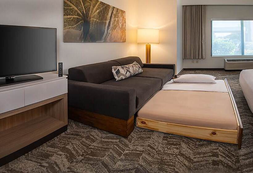 جناح, Springhill Suites Hagerstown