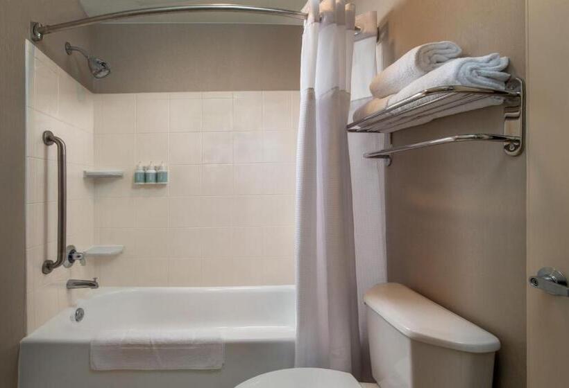 Люкс Кровать Кинг, Springhill Suites Hagerstown