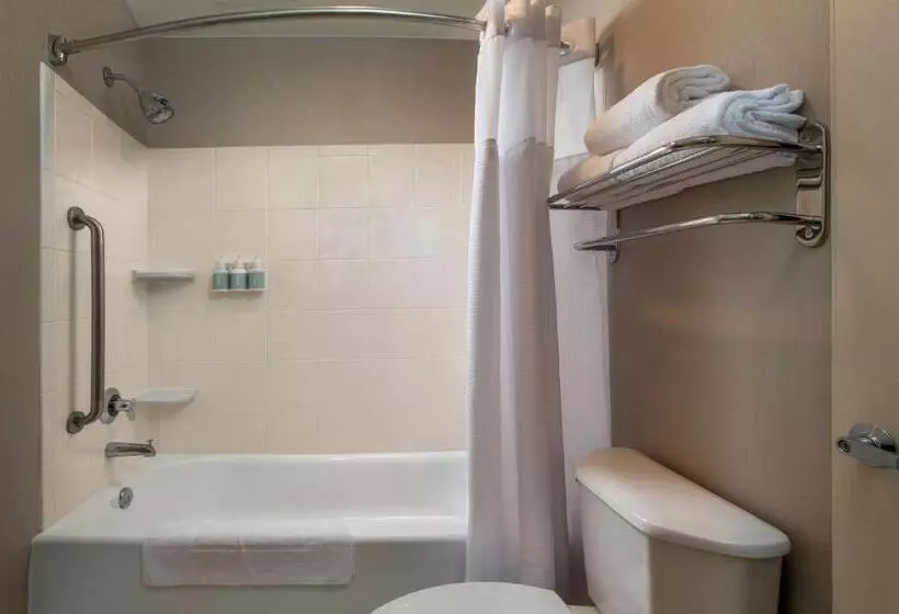 キングサイズベッドのスイートルーム, Springhill Suites Hagerstown