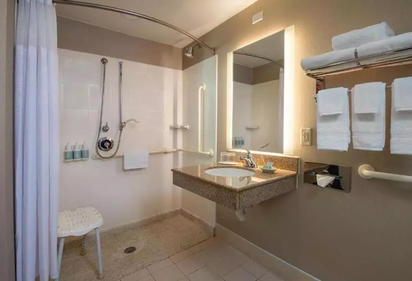 キングサイズベッドのスイートルーム, Springhill Suites Hagerstown