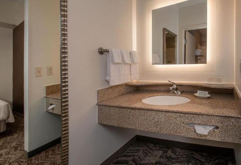 جناح سرير كينج, Springhill Suites Hagerstown