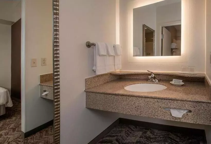キングサイズベッドのスイートルーム, Springhill Suites Hagerstown
