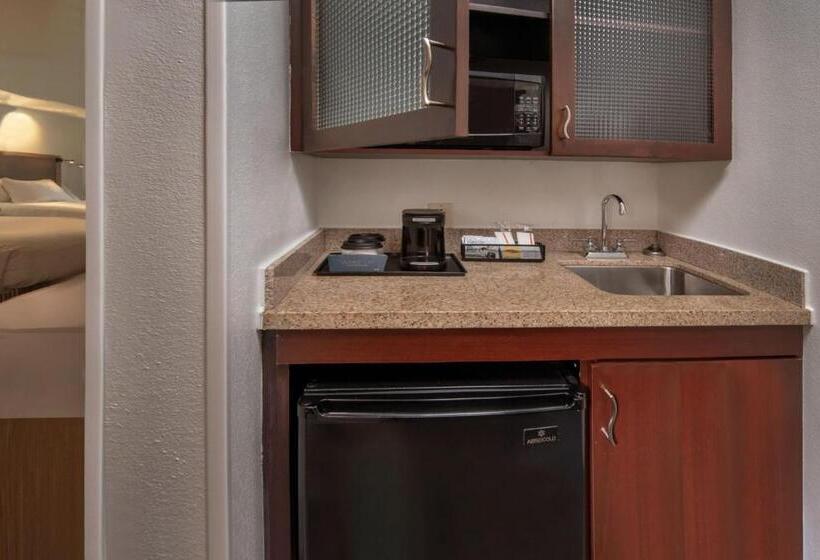 Люкс Кровать Кинг, Springhill Suites Hagerstown