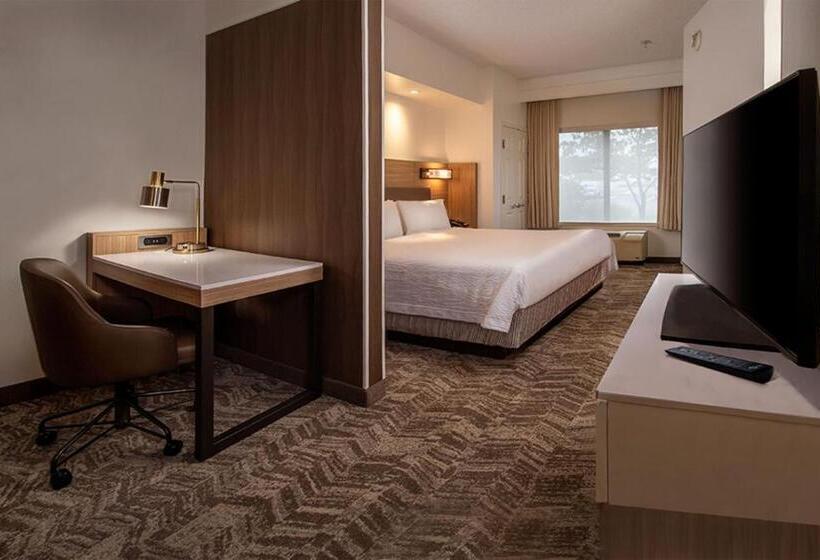 جناح سرير كينج, Springhill Suites Hagerstown