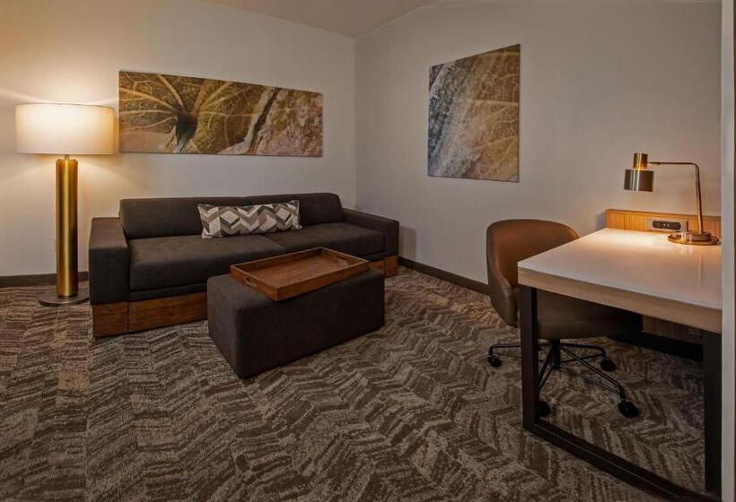 جناح, Springhill Suites Hagerstown