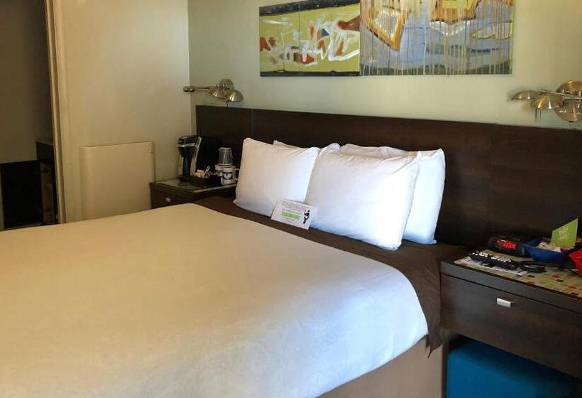 Номер Стандарт, Bayfront Inn