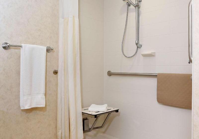 غرفة قياسية سرير كينج, Hilton Garden Inn Cedar Falls