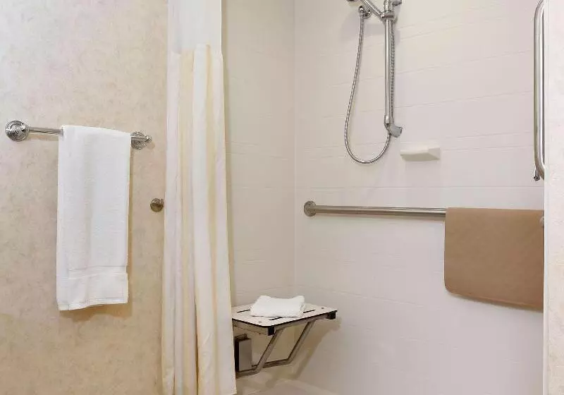 キングサイズベッドのスタンダードルーム, Hilton Garden Inn Cedar Falls