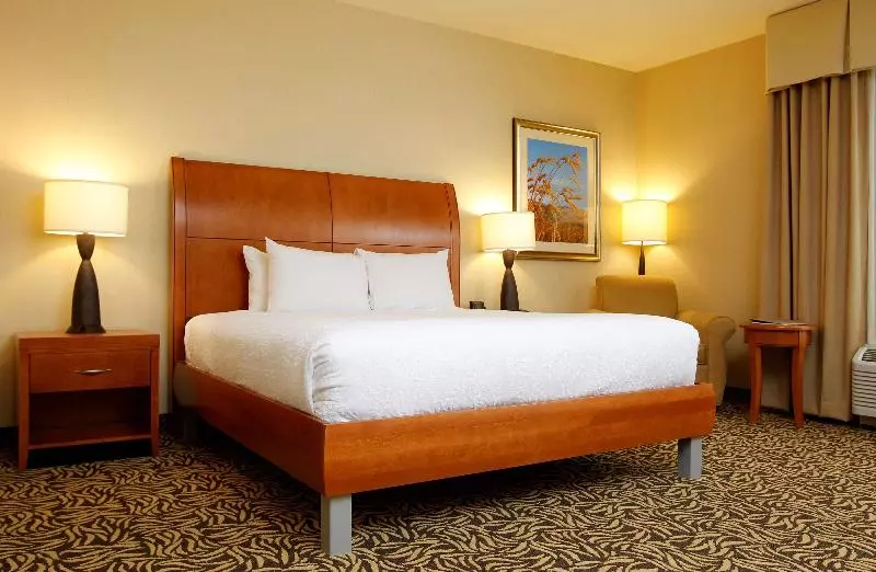 キングサイズベッドのスタンダードルーム, Hilton Garden Inn Cedar Falls