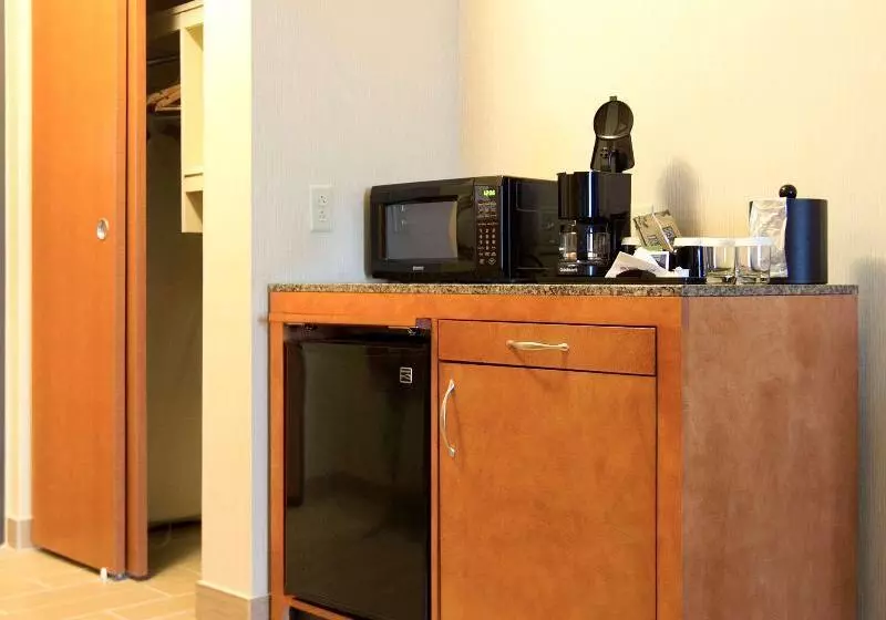 キングサイズベッドのスタンダードルーム, Hilton Garden Inn Cedar Falls