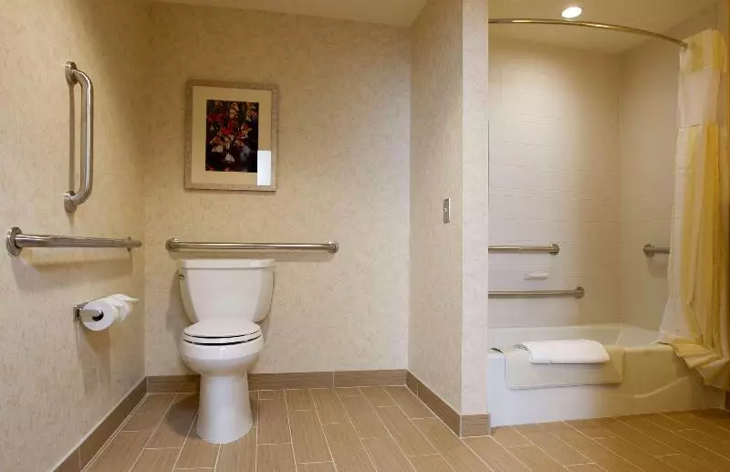 キングサイズベッドのスタンダードルーム, Hilton Garden Inn Cedar Falls