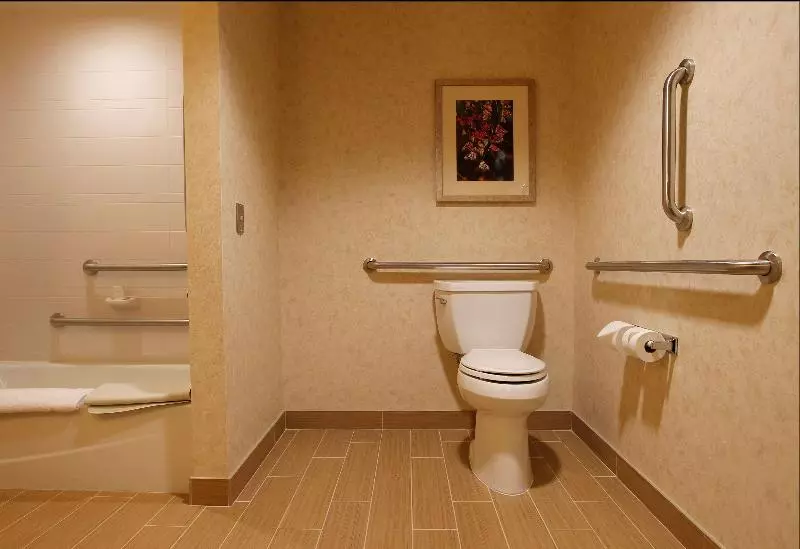 キングサイズベッドのスタンダードルーム, Hilton Garden Inn Cedar Falls