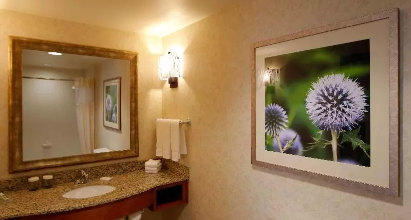 キングサイズベッドのスタンダードルーム, Hilton Garden Inn Cedar Falls