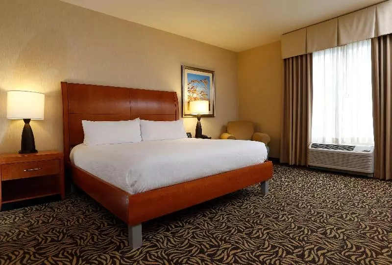 キングサイズベッドのスタンダードルーム, Hilton Garden Inn Cedar Falls