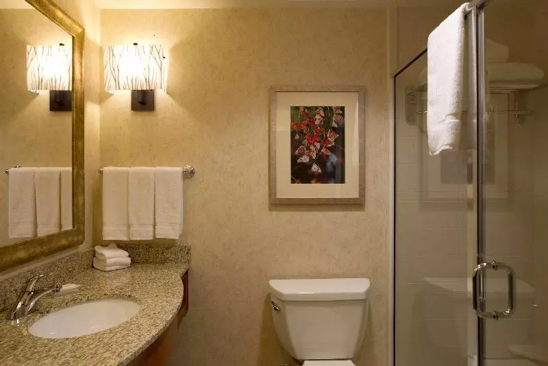 キングサイズベッドのスタンダードルーム, Hilton Garden Inn Cedar Falls