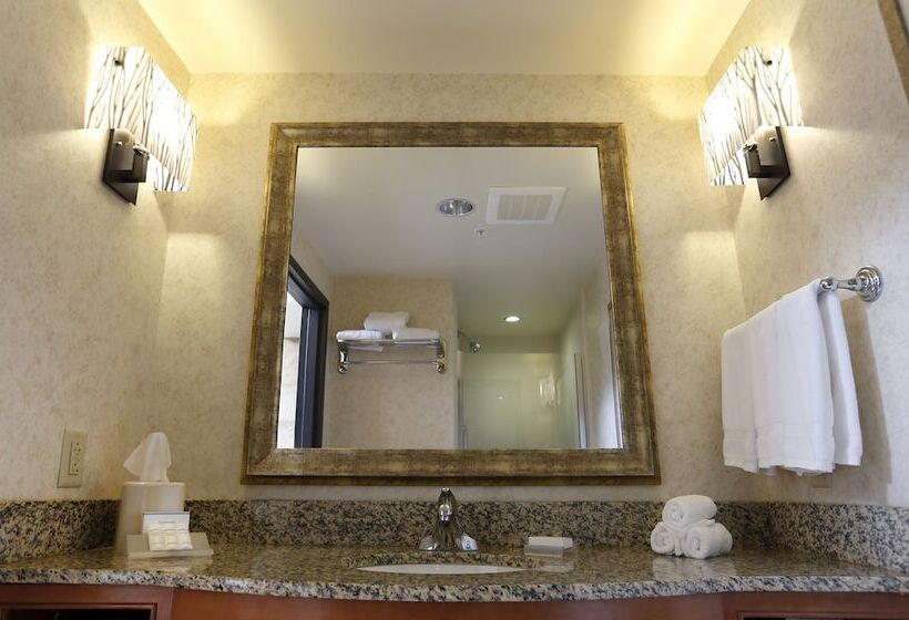 جناح سرير كينج, Hilton Garden Inn Cedar Falls