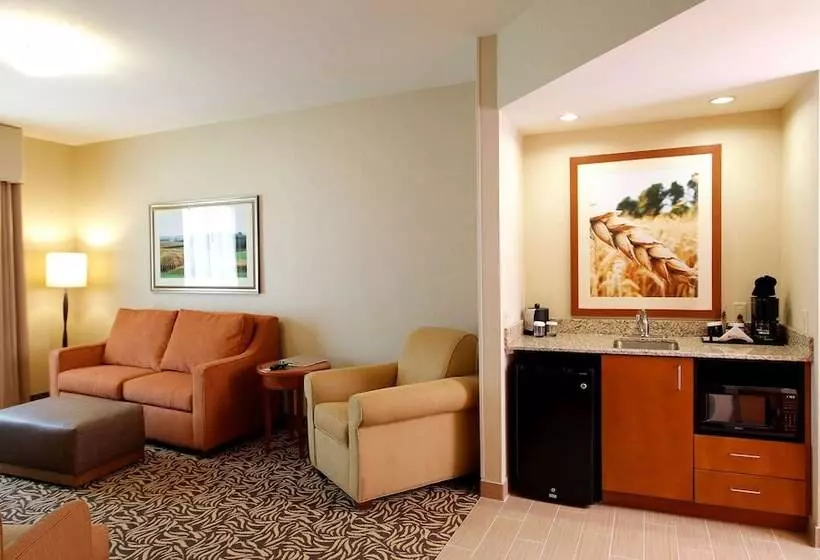 キングサイズベッドのスイートルーム, Hilton Garden Inn Cedar Falls