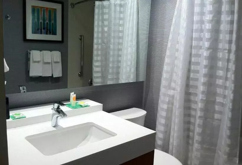 キングサイズベッドのスタンダードルーム, Hyatt Place Detroit/novi