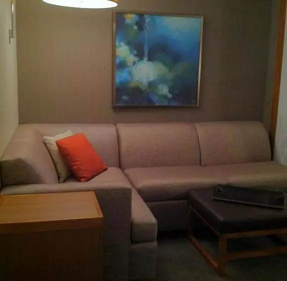 上層階スタンダードルーム, Hyatt Place Detroit/novi