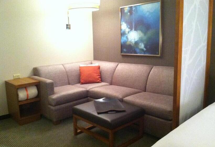 غرفة قياسية بالطابق العلوى, Hyatt Place Detroit/novi