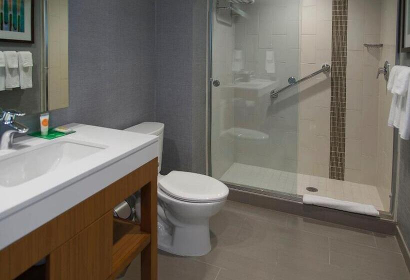 장애인을 위한 스탠다드 룸, Hyatt Place Detroit/novi