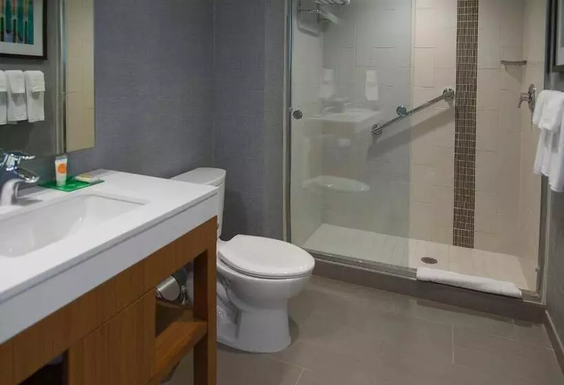 身障者適用スタンダードルーム, Hyatt Place Detroit/novi