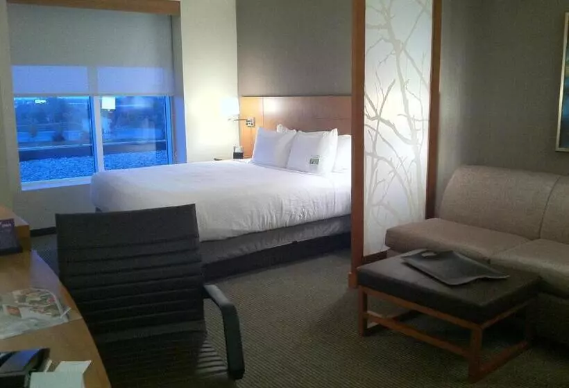身障者適用スタンダードルーム, Hyatt Place Detroit/novi