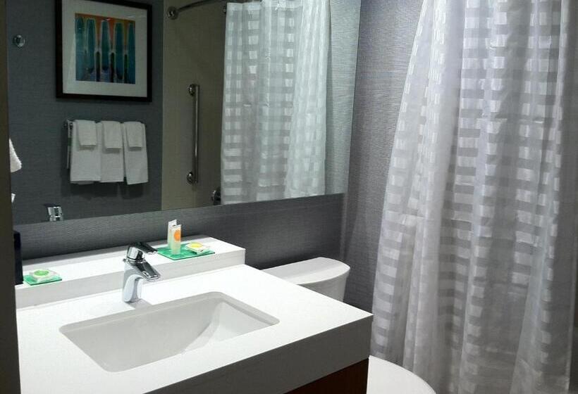 Номер Стандарт 2 Двуспальные Кровати, Hyatt Place Detroit/novi