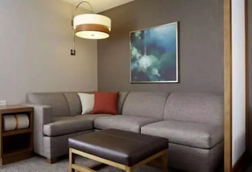 ２ダブルベッドのスタンダードルーム, Hyatt Place Detroit/novi