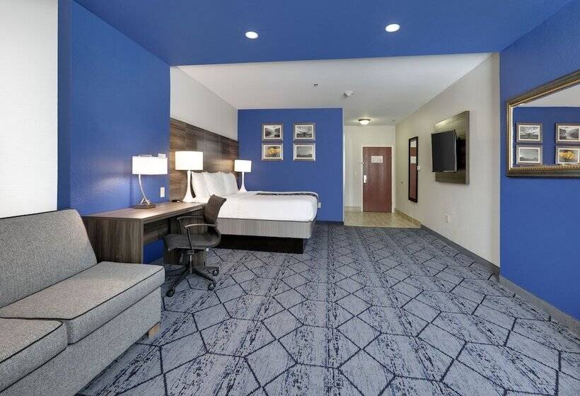 エクゼクティブワンルーム, La Quinta By Wyndham Denton   University Drive