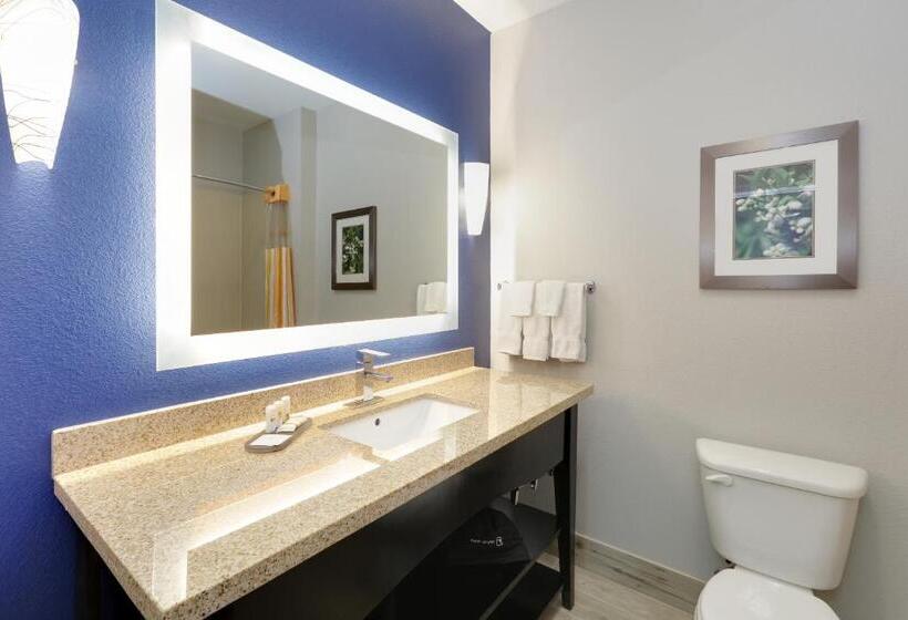 スタンダードルーム, La Quinta By Wyndham Denton   University Drive