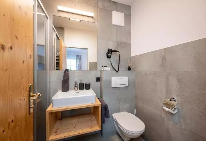 آپارتمان 1 خوابه با بالکن, Aparthotel Stadler