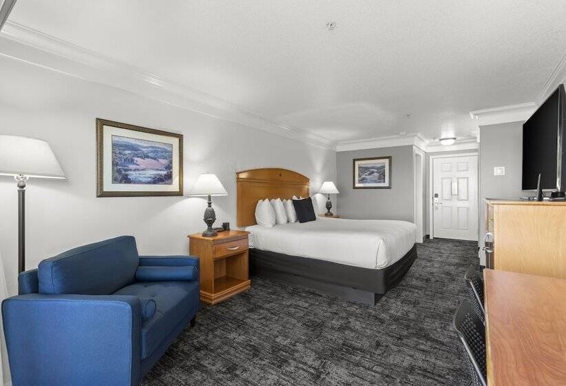 غرفة قياسية سرير كينج, Beachcomber Motel