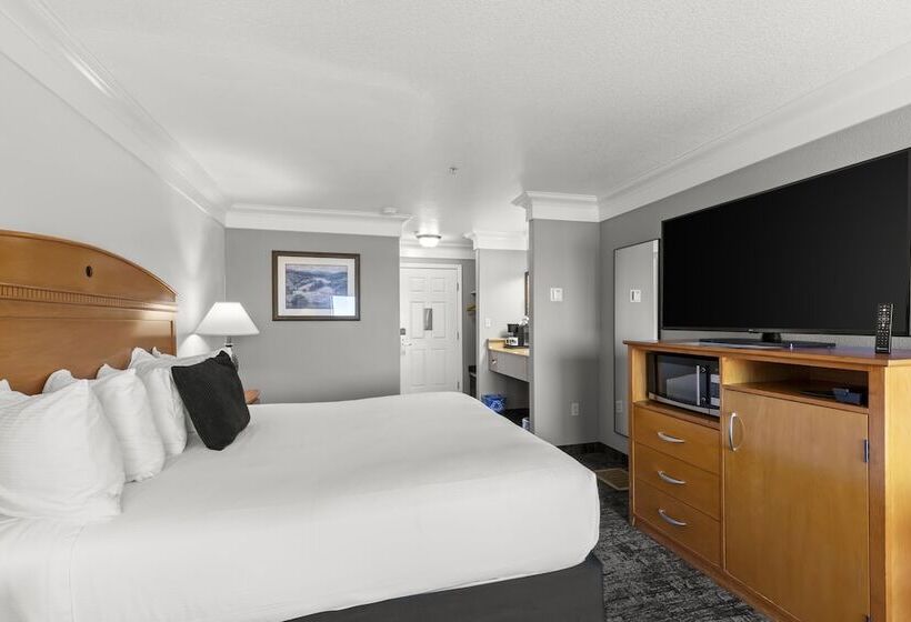 غرفة قياسية سرير كينج, Beachcomber Motel