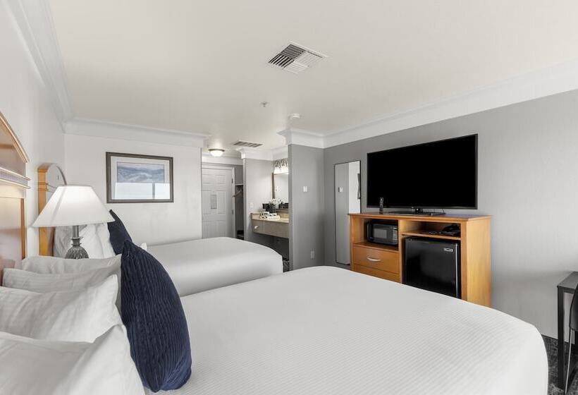 غرفة قياسية سرير ملكى, Beachcomber Motel
