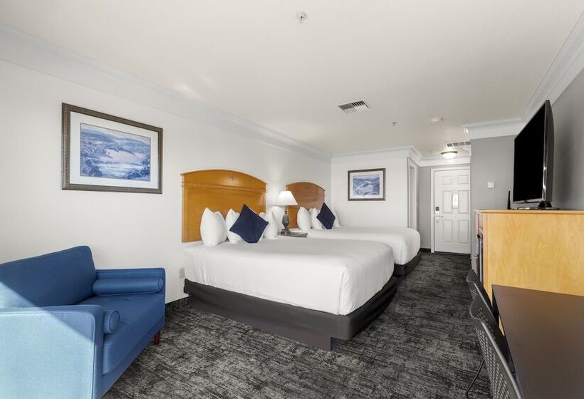 غرفة قياسية سرير ملكى, Beachcomber Motel