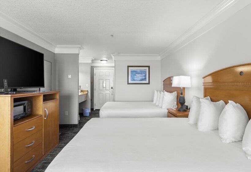 Номер Стандартный Кровать Куин, Beachcomber Motel