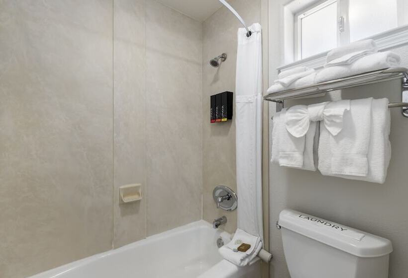 غرفة قياسية سرير ملكى, Beachcomber Motel