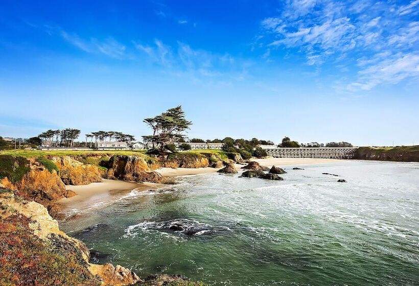 غرفة قياسية سرير كينج, Beachcomber Motel