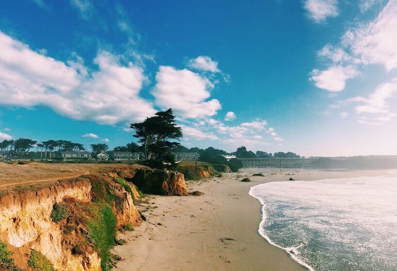 غرفة قياسية سرير كينج, Beachcomber Motel