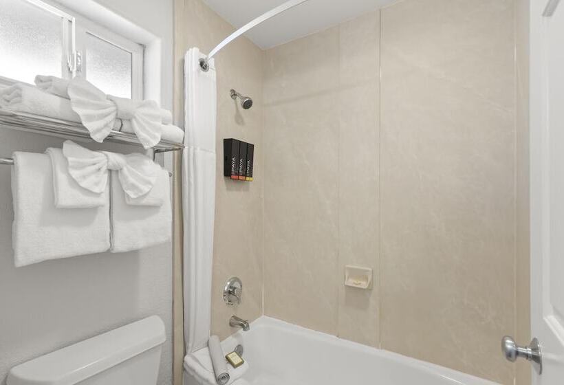 غرفة قياسية سرير ملكى, Beachcomber Motel