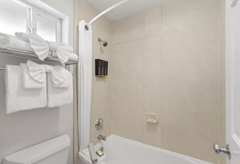 Standard-huone Queen-vuode, Beachcomber Motel