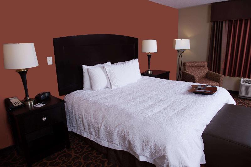 스탠다드 스튜디오 킹침대, Hampton Inn & Suites Dickinson